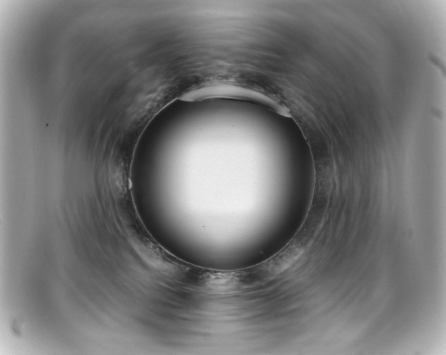X0000099400088200805081544
