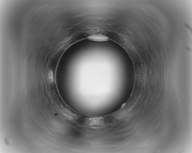 X0000099400089200805081544