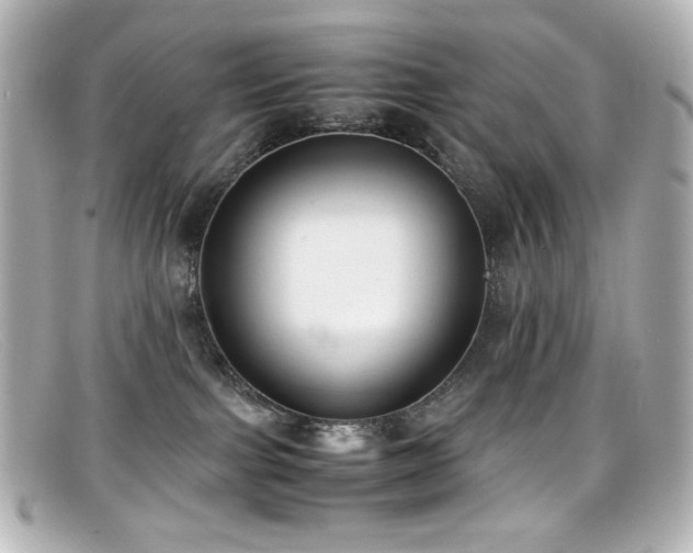 X0000099400091200805081544
