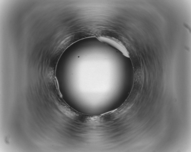 X0000099400092200805081544
