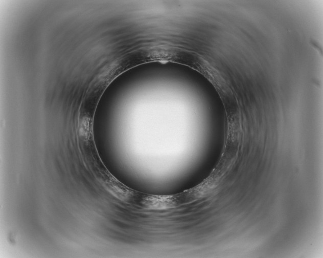 X0000099400093200805081544