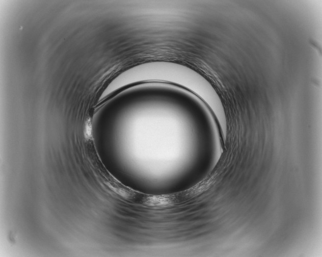 X0000099400095200805081544