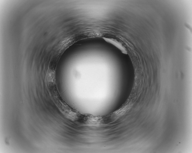 X0000099400096200805081544