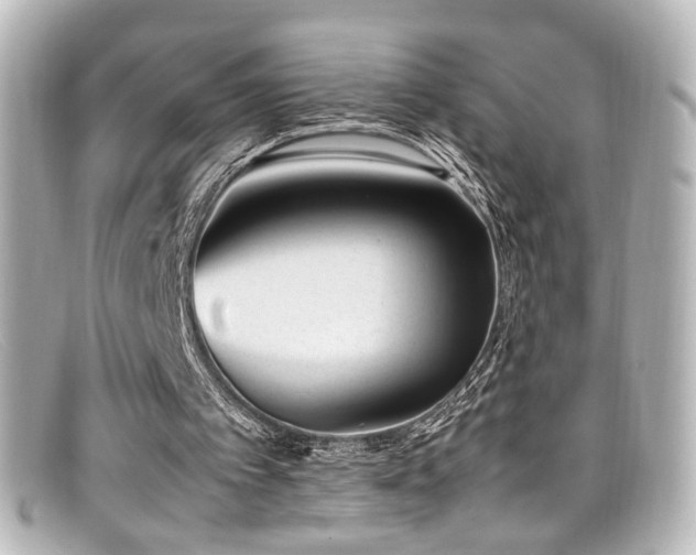 X0000099400097200805081543