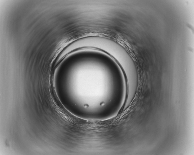 X0000099400098200805081543