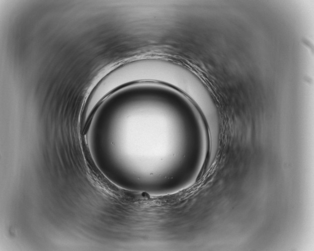 X0000099400100200805081543