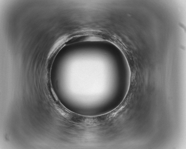 X0000099400101200805081543