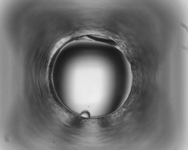 X0000099400104200805081543