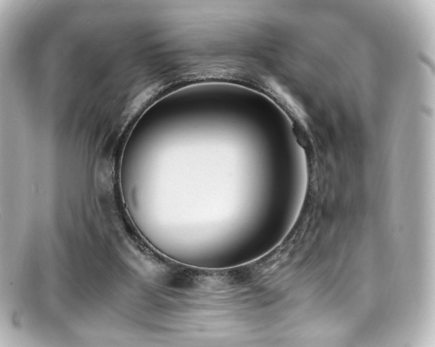 X0000099400107200805081543
