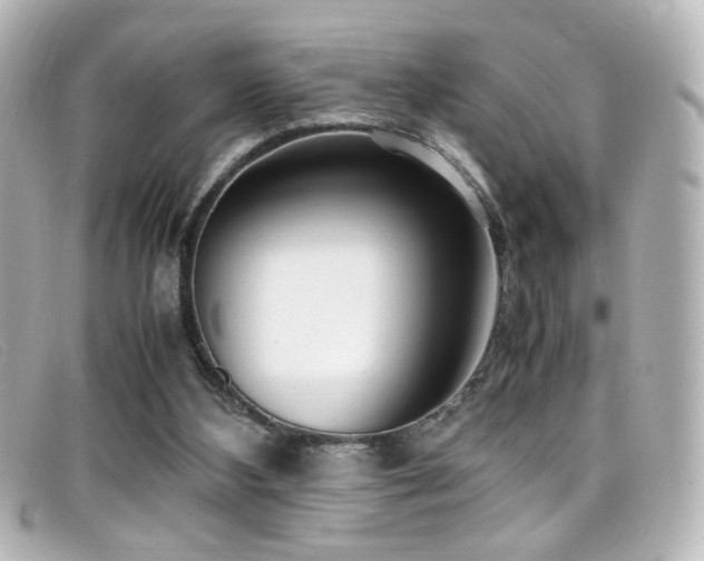 X0000099400108200805081543