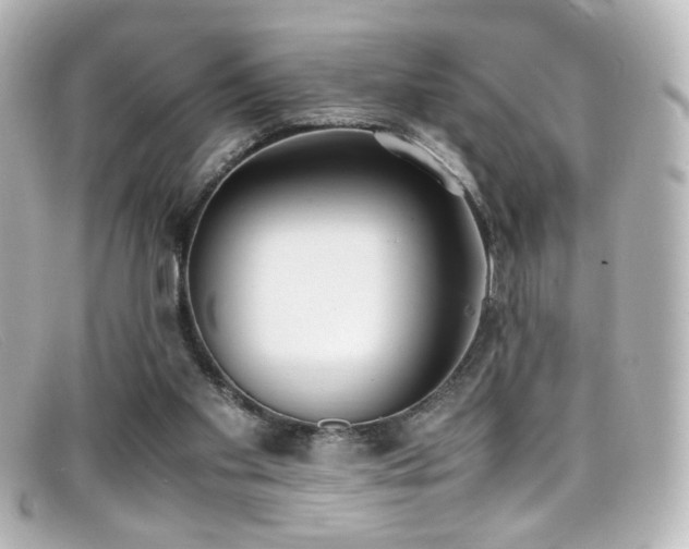 X0000099400109200805081543