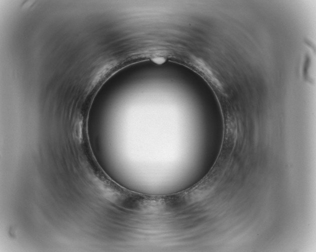X0000099400110200805081543