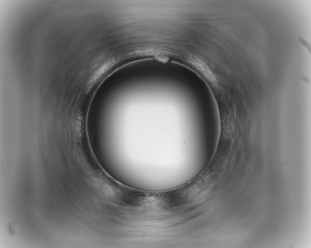 X0000099400111200805081543