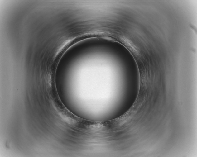 X0000099400112200805081543
