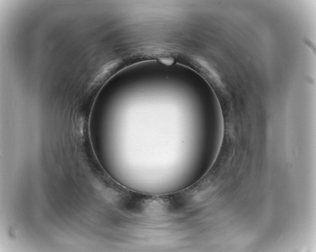 X0000099400115200805081543