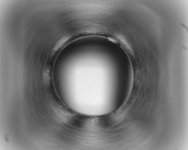 X0000099400116200805081543