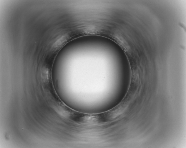 X0000099400117200805081543