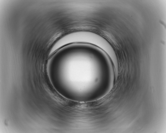 X0000099400120200805081543