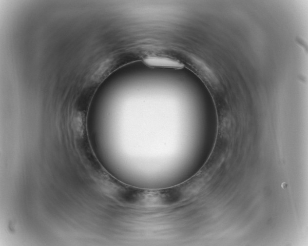 X0000099400121200805081543