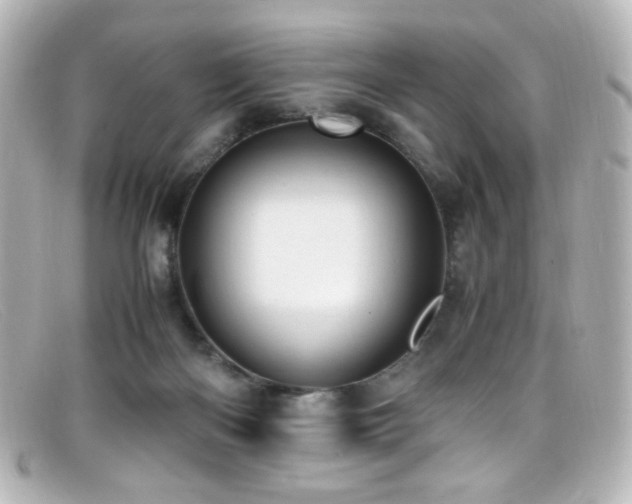 X0000099400122200805081543