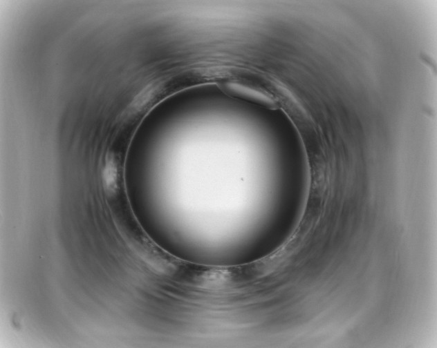 X0000099400124200805081543