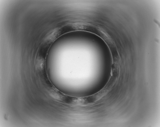 X0000099400125200805081543
