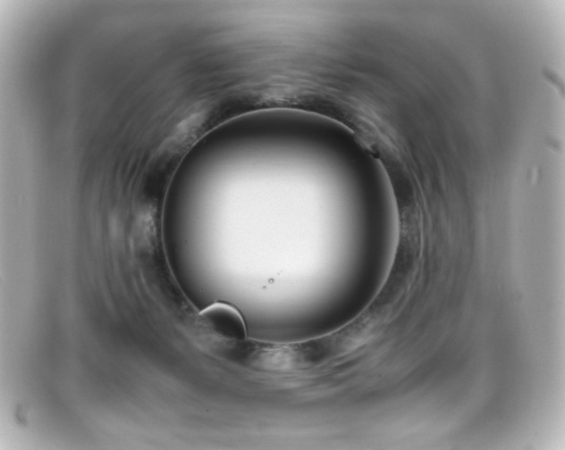 X0000099400127200805081543