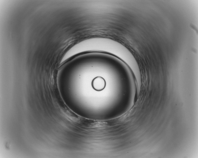 X0000099400128200805081543