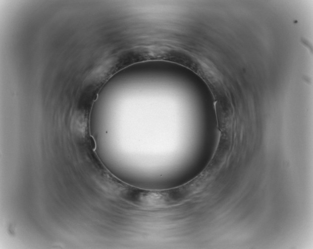 X0000099400129200805081543