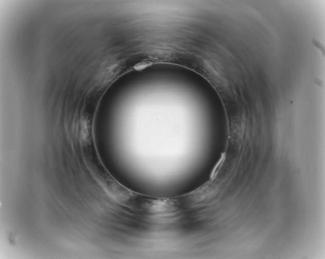 X0000099400130200805081543