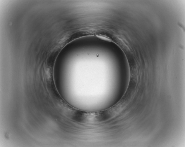 X0000099400131200805081543