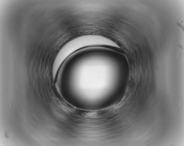 X0000099400132200805081543