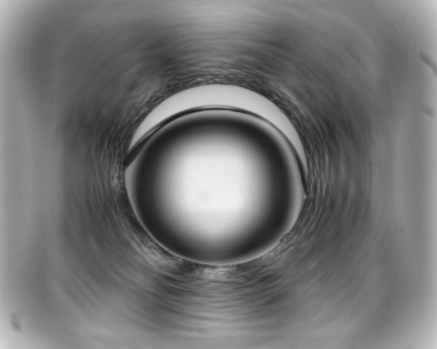 X0000099400134200805081543