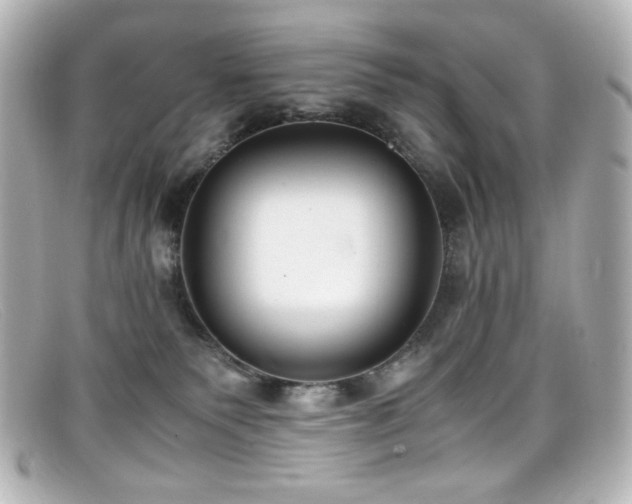X0000099400135200805081543