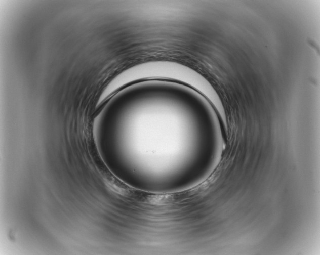 X0000099400136200805081543