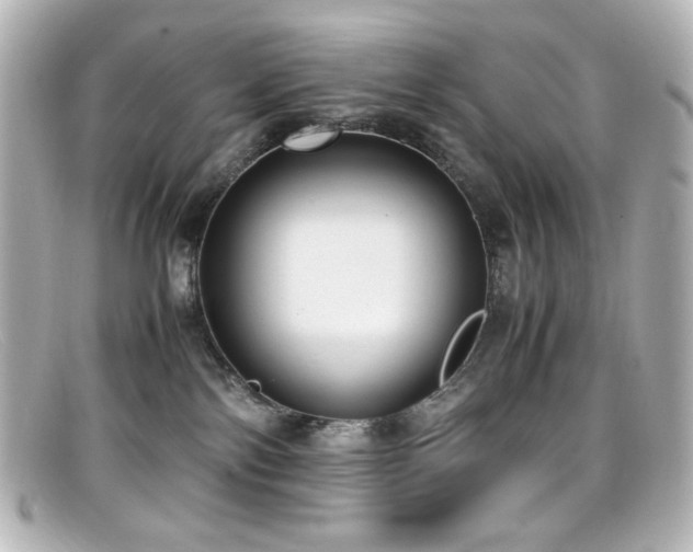 X0000099400138200805081543