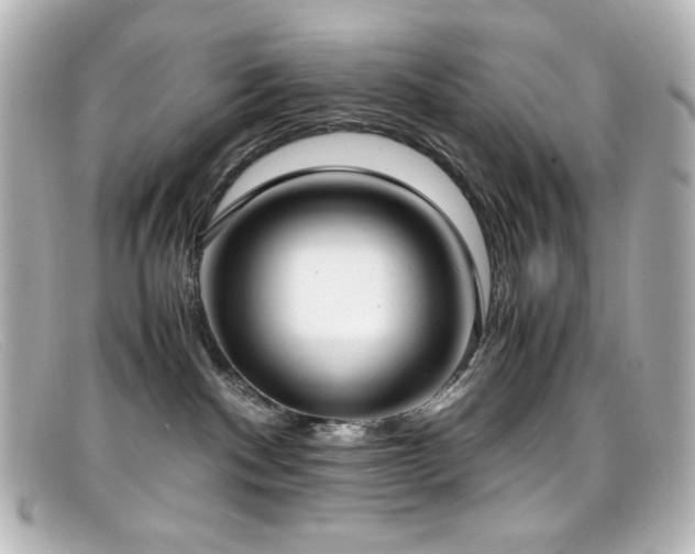 X0000099400140200805081542