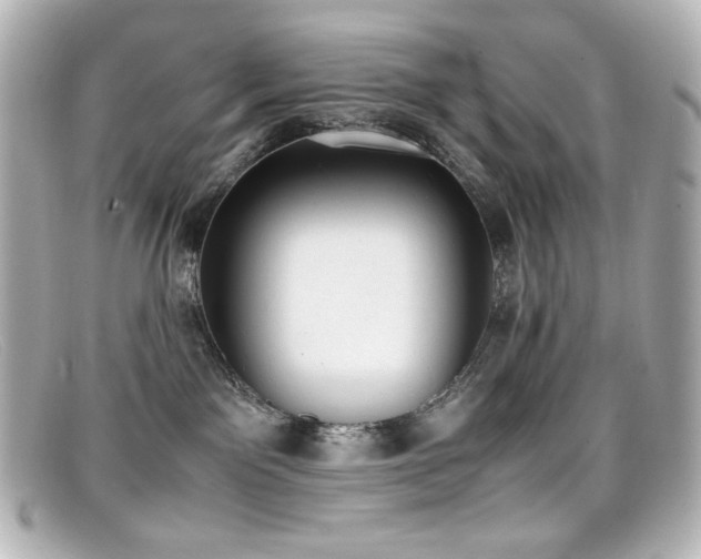 X0000099400141200805081542
