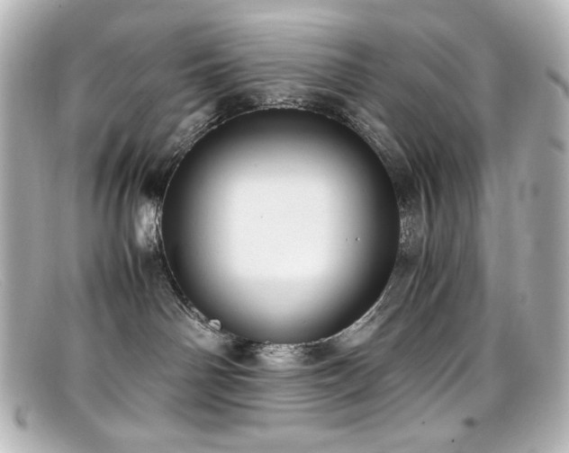 X0000099400142200805081542