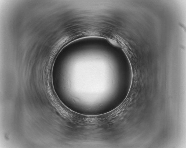X0000099400145200805081542