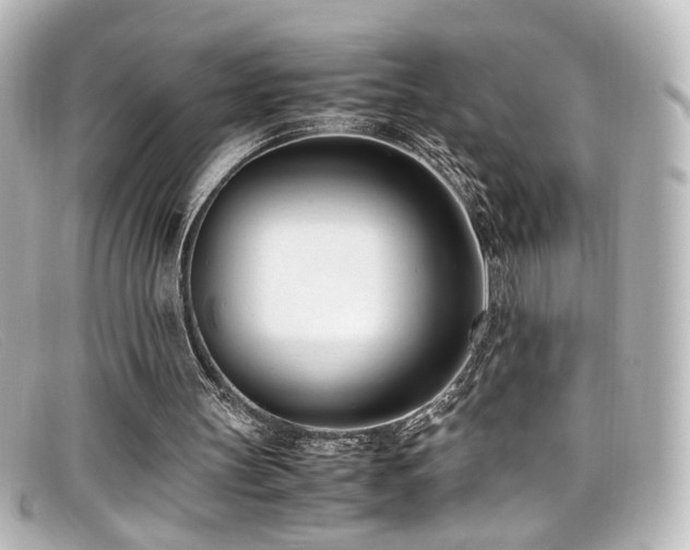 X0000099400147200805081542
