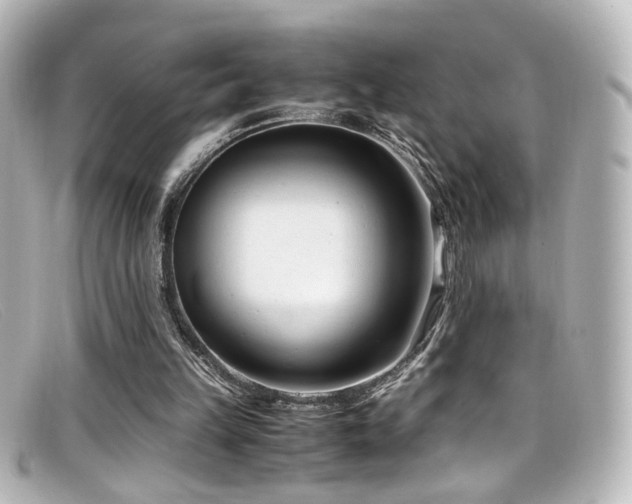X0000099400149200805081542