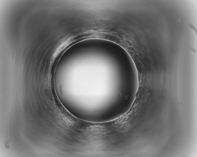 X0000099400150200805081542