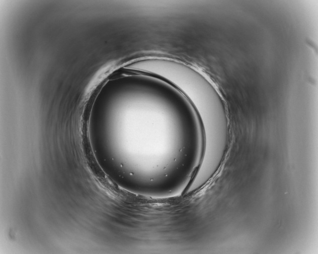 X0000099400151200805081542