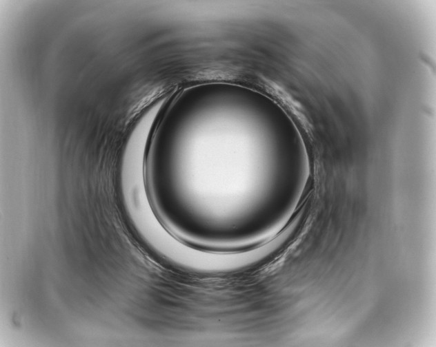 X0000099400153200805081542