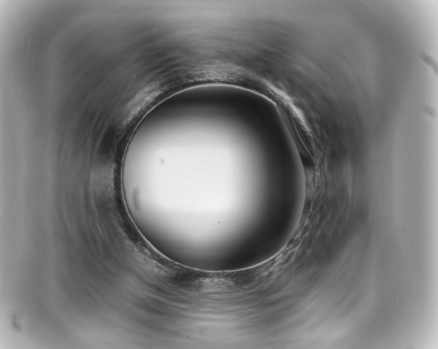X0000099400154200805081542