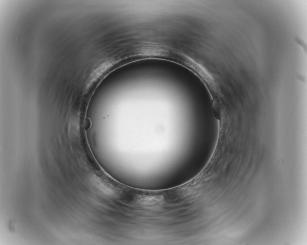 X0000099400155200805081542
