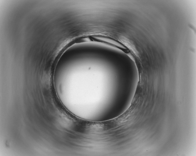 X0000099400156200805081542