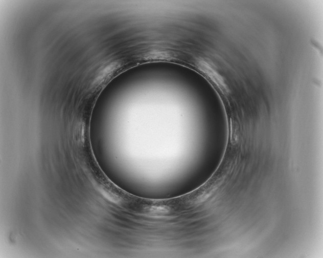 X0000099400157200805081542