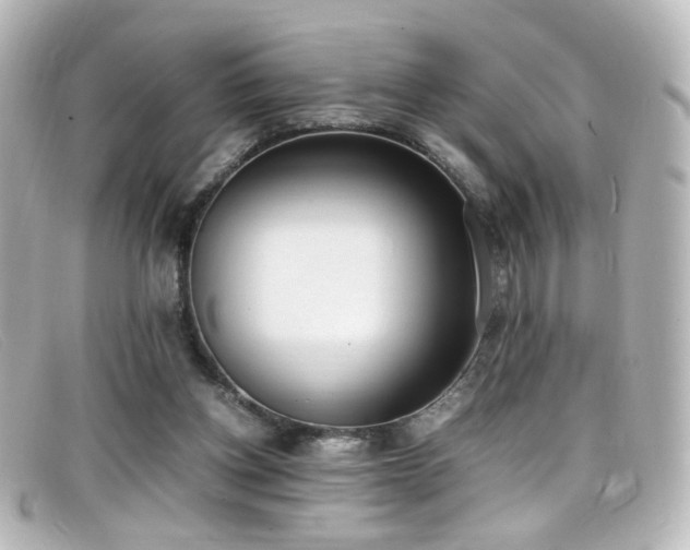 X0000099400158200805081542
